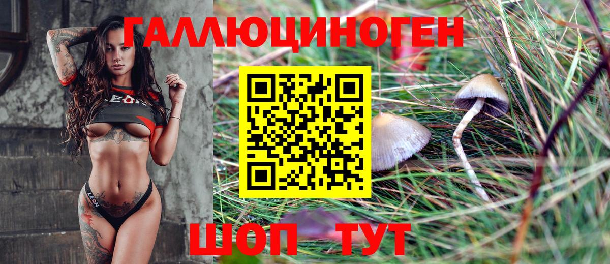 Псилоцибиновые грибы мицелий Туймазы