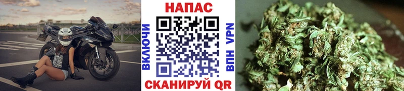 Марихуана индика  где продают наркотики  Туймазы 